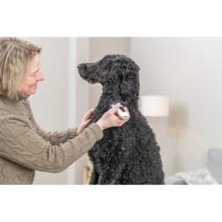 TR1600, maszynka do strzyżenia, dla psa, 10W, biała, bezprzewodowa, 2000mAh