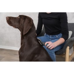 Szczotka miękka, tworzywo sztuczne, 12×20 cm