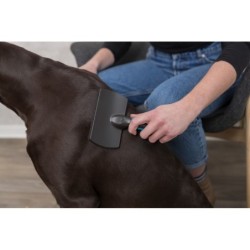 Szczotka miękka, tworzywo sztuczne, 12×20 cm