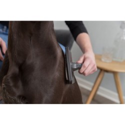 Szczotka miękka, tworzywo sztuczne, 12×20 cm