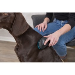 Miękka szczotka, 19 cm