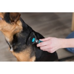 Zgrzebło "Carding", 7×15 cm z ostrzem 51,0 mm