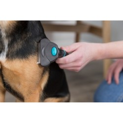 Zgrzebło "Carding", 7×15 cm z ostrzem 51,0 mm