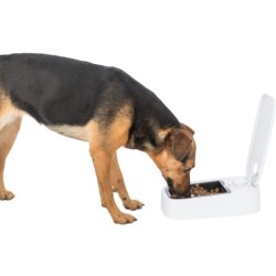 AUTOMAT DO KARMIENIA TX1 -KOT I MAŁY PIES