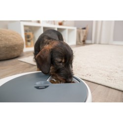 Karmidło automatyczne TX4+1,  5 × 240 ml/33 × 5 × 36 cm, białe/szare