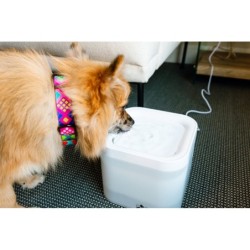 Fontanna dla zwierząt, bez adptera, 2l