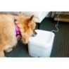 Fontanna dla zwierząt, bez adptera, 2l