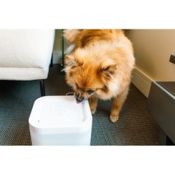 Fontanna dla zwierząt, bez adptera, 2l