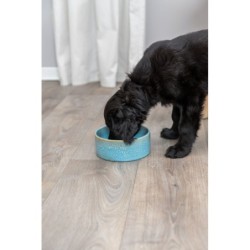 Miska ceramiczna, dla psa, niebieska, 0.9 l/ 16 cm