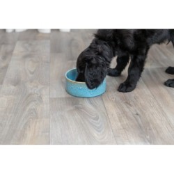 Miska ceramiczna, dla psa, niebieska, 0.9 l/ 16 cm