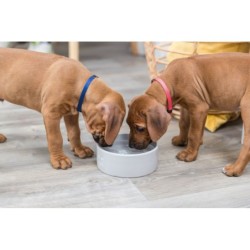 Miska ceramiczna Junior, 0.3 l/o 12 cm