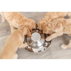 Miska metalowa dla szczeniąt JUNIOR, 4.0 l/o 38 cm
