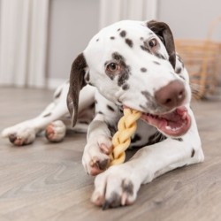 Warkocze ze skalpu wołowego, przysmak, dla psa, 12cm/200g