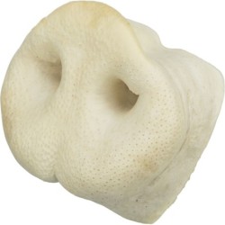 SUSZONE ŚWIŃSKIE NOSY 50SZT.