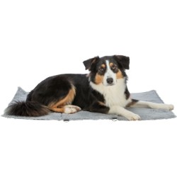 Amy, koc podróżny, dla psa, szary, 70 × 50 cm