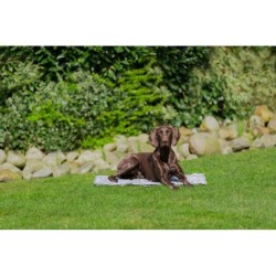 Miękka mata chłodząca, szara, XL: 90 × 60 cm