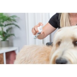 SPRAY ANTYKŁACZĄCY 175ml