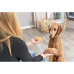 Denta Fun Twists, przysmak, dla psa, kolagen i kurczak, 85 g