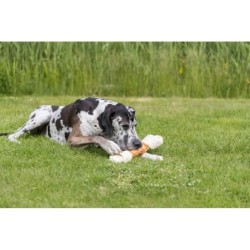 Kość Denta Fun Mega Chicken, przysmak, dla psa, skóra naturalna i kurczak, 40 cm, 500 g