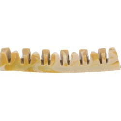 Denta Fun Veggie Jaw Bone, przysmak wegetariański dla psów, 12 cm, 35 g , 100 szt/opak