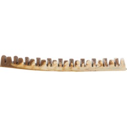 Denta Fun Veggie Jaw Bone, przysmak wegetariański dla psów, 22 cm, 85 g, 50 szt/opak