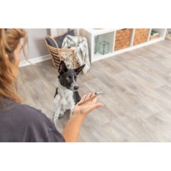 Vegan Sticks, przysmak, dla psa, z owocami i warzywami, 100 g