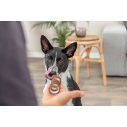 Denta Fun Duck Chewing Curl, przysmak dla psa, z wołowiną, 12 cm, 12 g, 50szt/OPAK