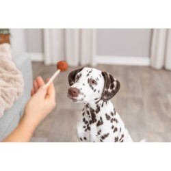 PREMIO Lolly, przysmak, dla psa, z dorszem, luz, 9 cm/15 g, 60szt/OPAK