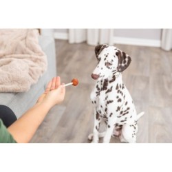 PREMIO Lolly, przysmak, dla psa, z dorszem, luz, 9 cm/15 g, 60szt/OPAK