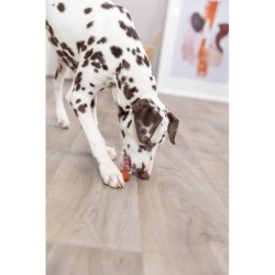 PREMIO Lolly, przysmak, dla psa, z dorszem, luz, 9 cm/15 g, 60szt/OPAK