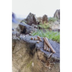 Insect Sticks, kabanosy z insektów, dla psa, 80 g