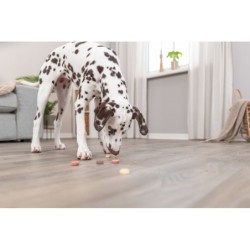 Vegan Cookie Loops, przysmak, dla psa, wegański, 1,3kg