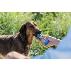 Krem wegetariański, przysmak, dla psa, 75 g