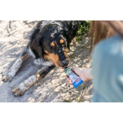 PREMIO pasztet z wątróbki z konopiami, przysmak, dla psa, 75 g