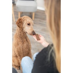 PREMIO Filets, przysmak, dla psa, jagnięcina, 80 g