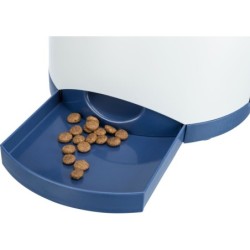 Gra dla psa-Trening Pamięci, 20 × 24 cm