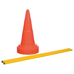 Tor przeszkód dla psa Dog Activity, zestaw 2 części, o 30 × 50 cm 100 cm, pomarańczowy/żółty