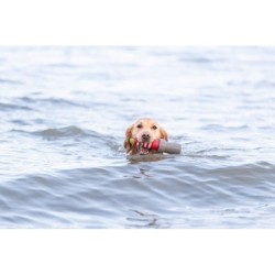 Aqua Toy Latarnia morska, zabawka, dla psa, TPR, 12 cm