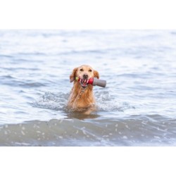 Aqua Toy Latarnia morska, zabawka, dla psa, TPR, 12 cm