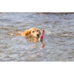 Aqua Toy Latarnia morska, zabawka, dla psa, TPR, 26 cm