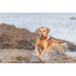 Aqua Toy Boja, zabawka, dla psa, TPR, 19 cm