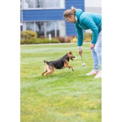 Piłki z gumy naturalnej na sznurku, 24 szt. śr. 6 cm/30 cm