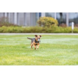 Piłki z gumy naturalnej na sznurku, 24 szt. śr. 6 cm/30 cm