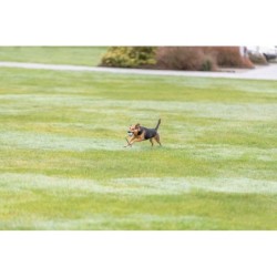 Piłki z gumy naturalnej na sznurku, 24 szt. śr. 6 cm/30 cm