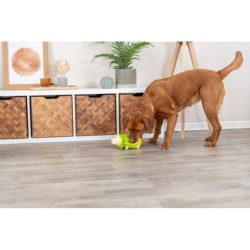 Świnka kapusta, zabawka, dla psa, jasnozielona, latex, 23 cm, z dźwiękiem