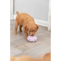 Mini koło JUNIOR, lateks 8 CM