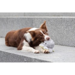 Ośmiornica, zabawka, dla psa, plusz, 19 cm, dwustronna, z dźwiękiem