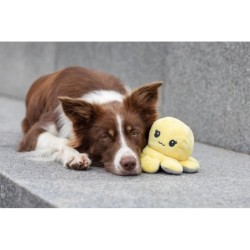 Ośmiornica, zabawka, dla psa, plusz, 19 cm, dwustronna, z dźwiękiem