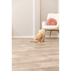 Szkielet ryby na linie, zabawka, dla psa, skóra/lina, 43 cm