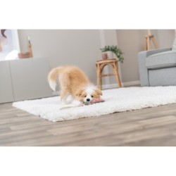 Smok na linie, zabawka, dla psa, skóra/lina, 55 cm